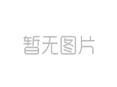 州立新闻办公室会议：2025年4月国民经济运营简介